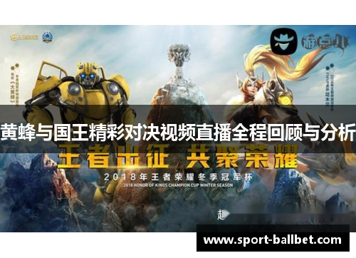 黄蜂与国王精彩对决视频直播全程回顾与分析